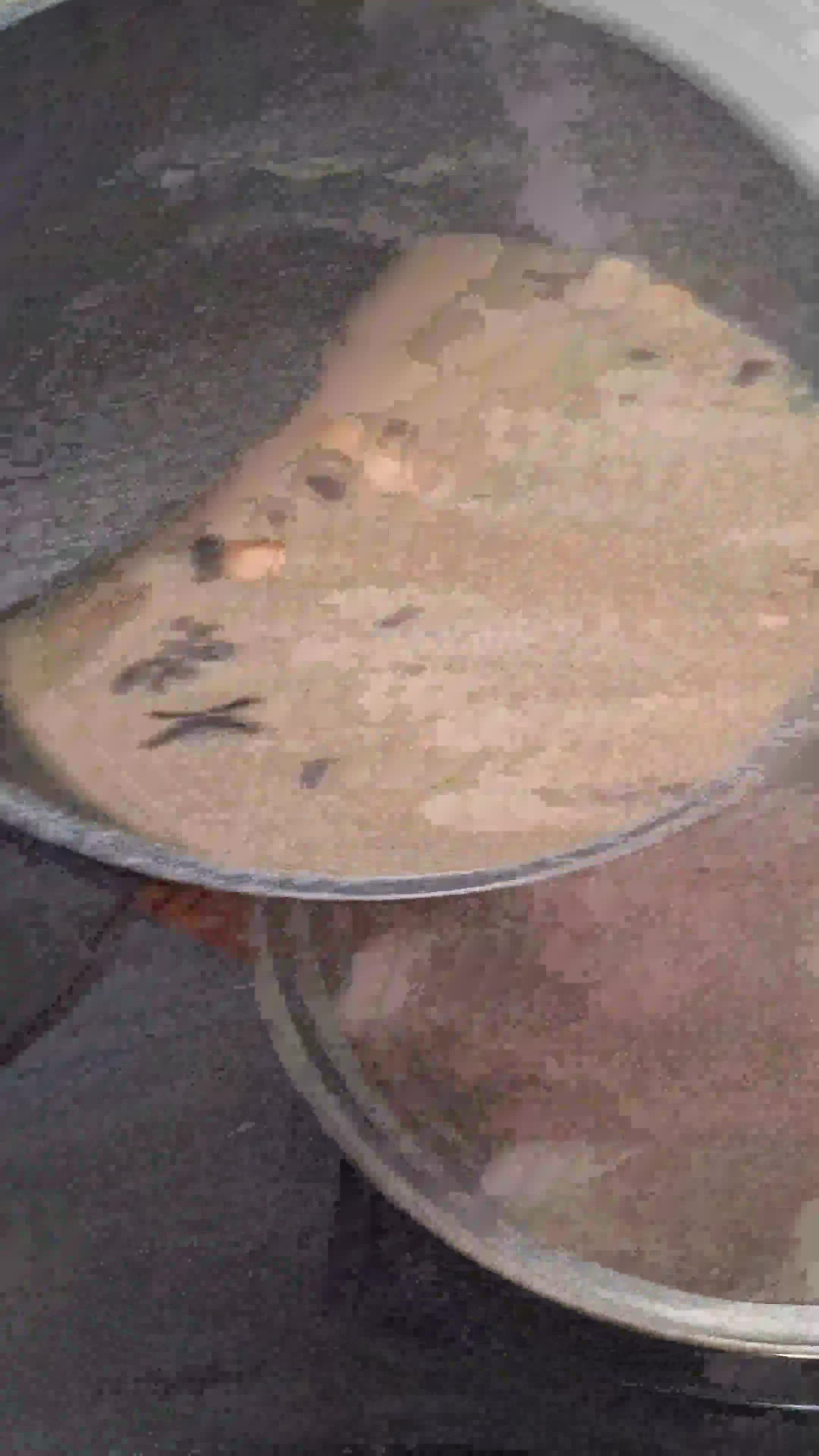 Foto langkah ke 3 dari resep Sop Daging Bumbu Rempah.