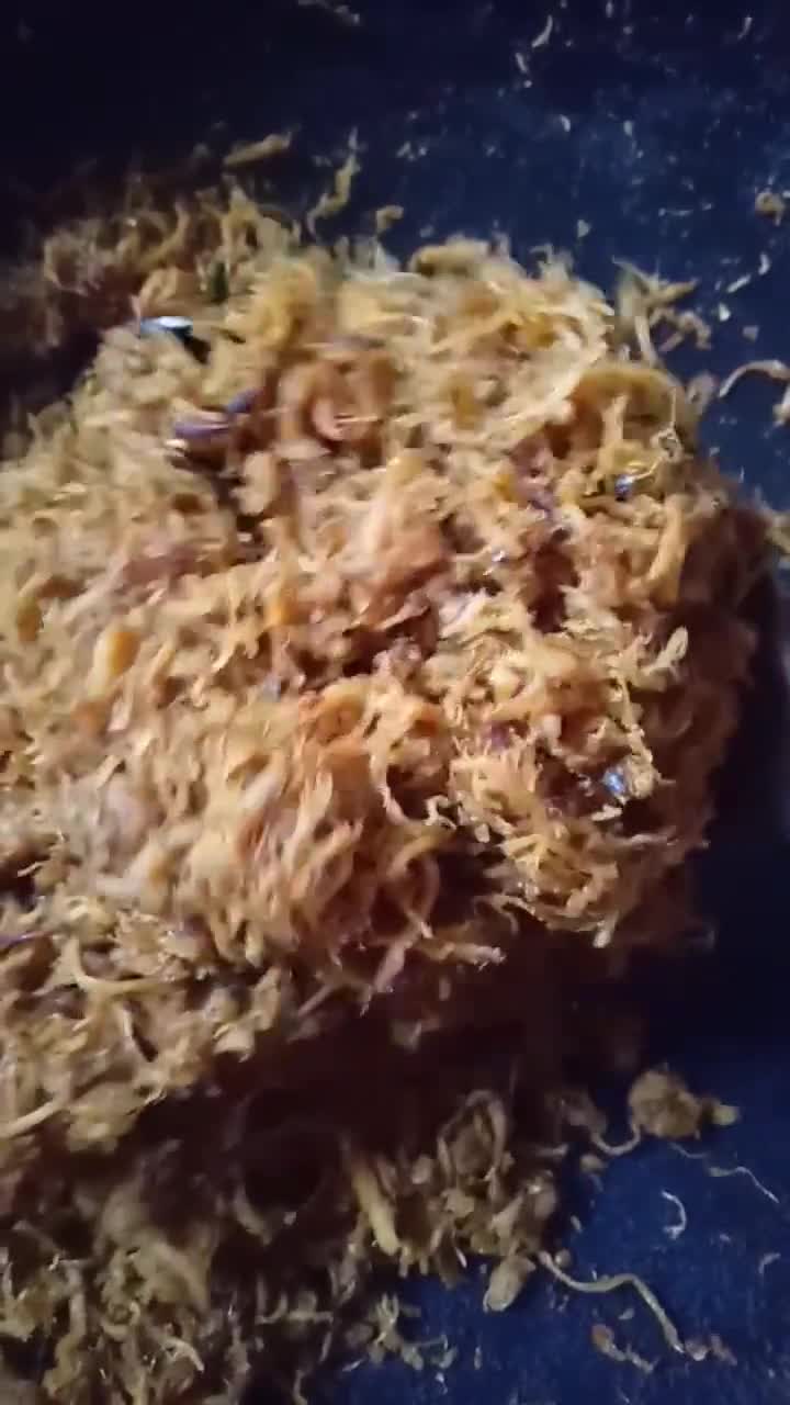 Foto langkah ke 7 dari resep Abon Ayam HomeMade.