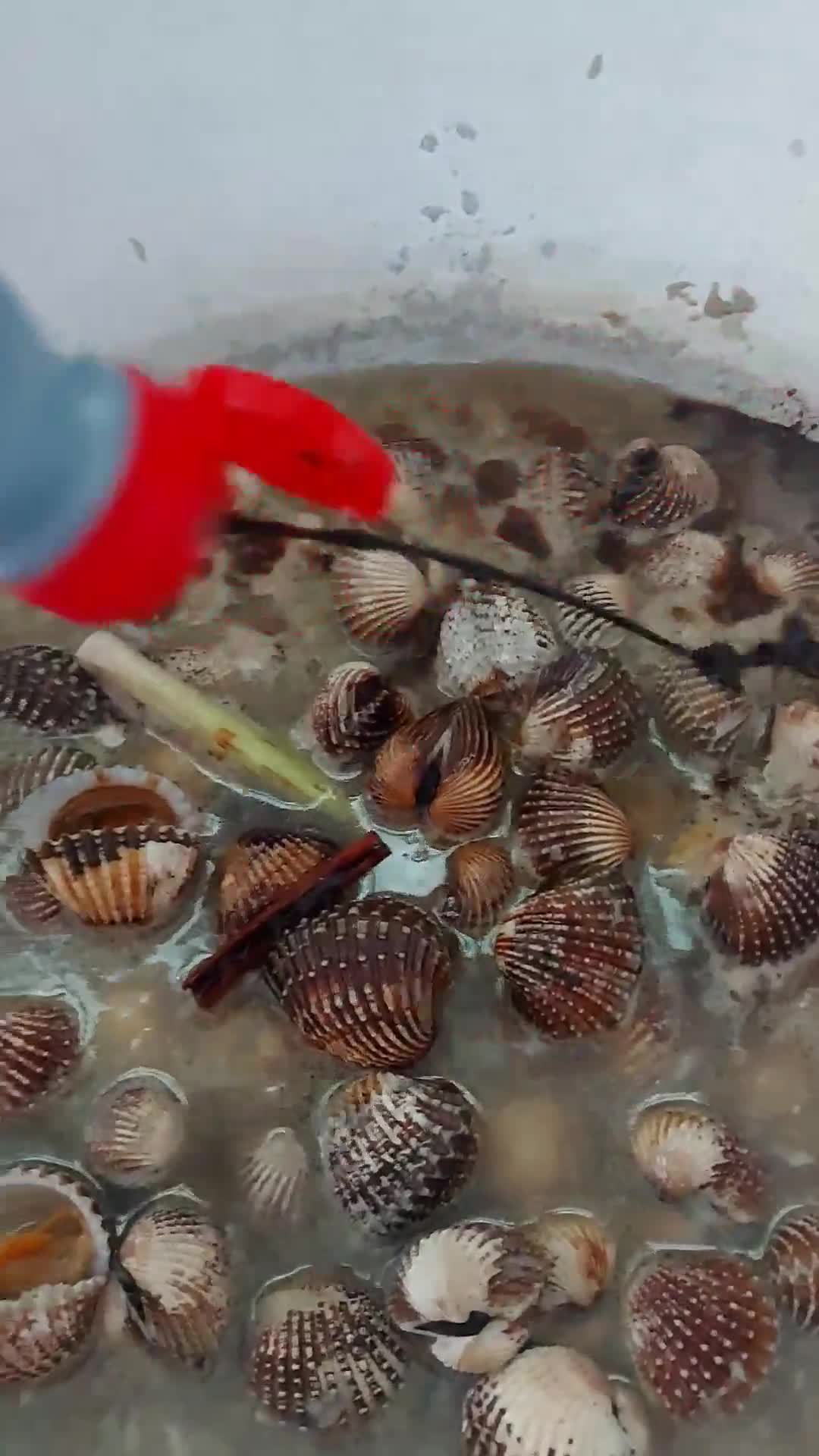 Gambar langkah 7 resipi Kerang masak kicap pekat likat.