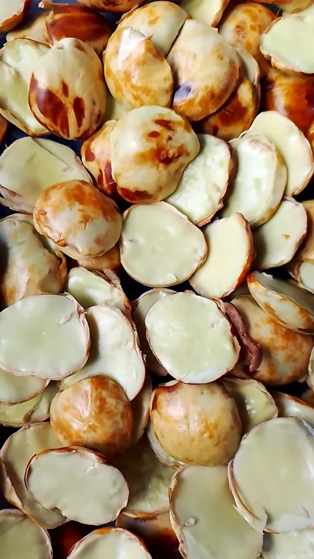 Foto langkah ke 1 dari resep Rendang jengkol.