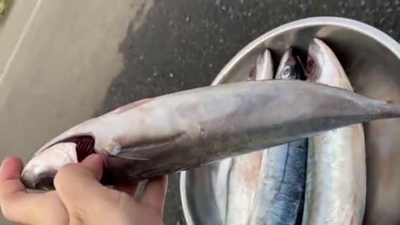 Foto langkah ke 5 dari resep Tips Memilih&Menyimpan Ikan Segar agar siap saji untuk aneka olahan Ikan di freezer.