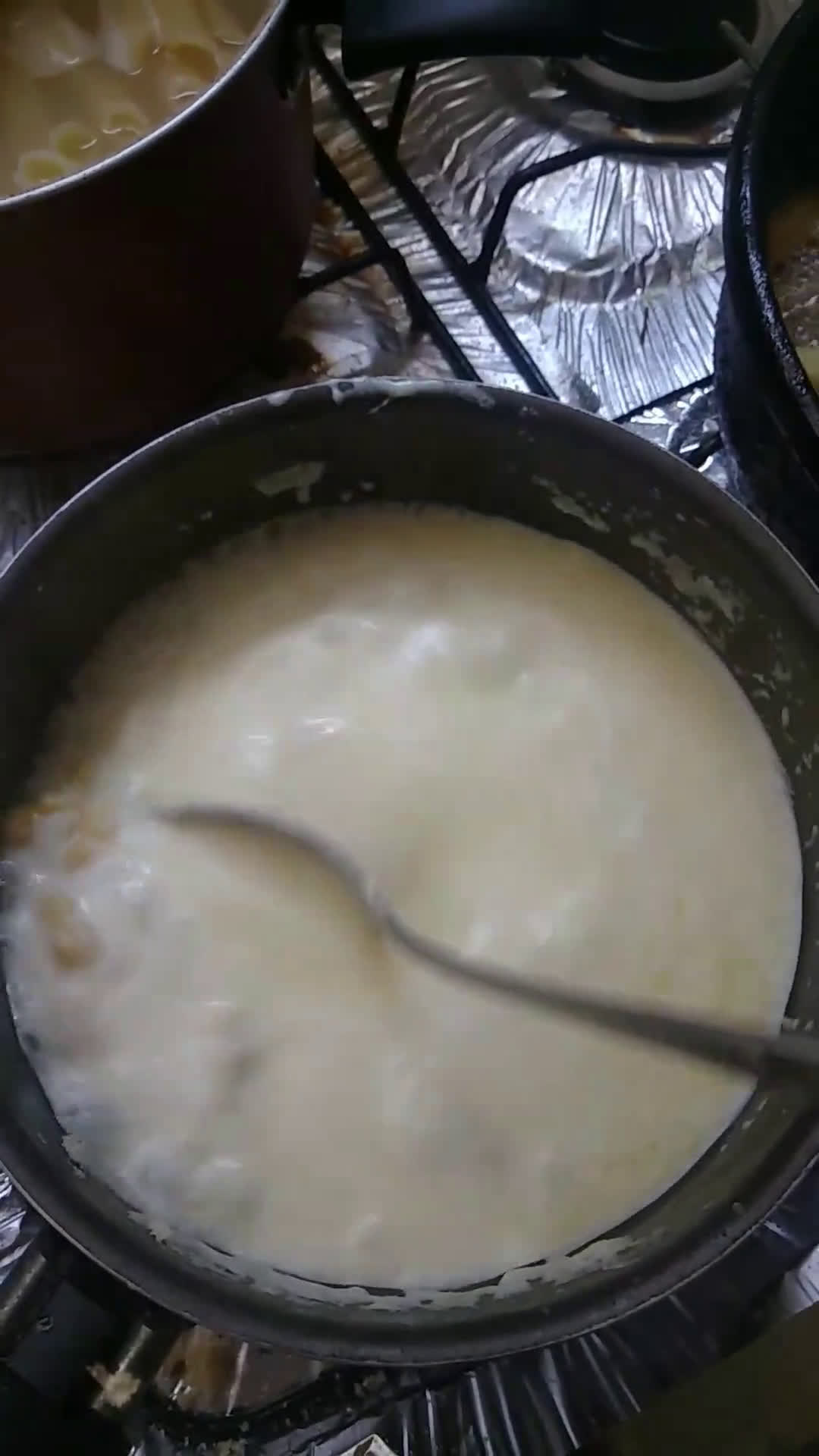 Foto do passo 3 de Molho branco da Íris