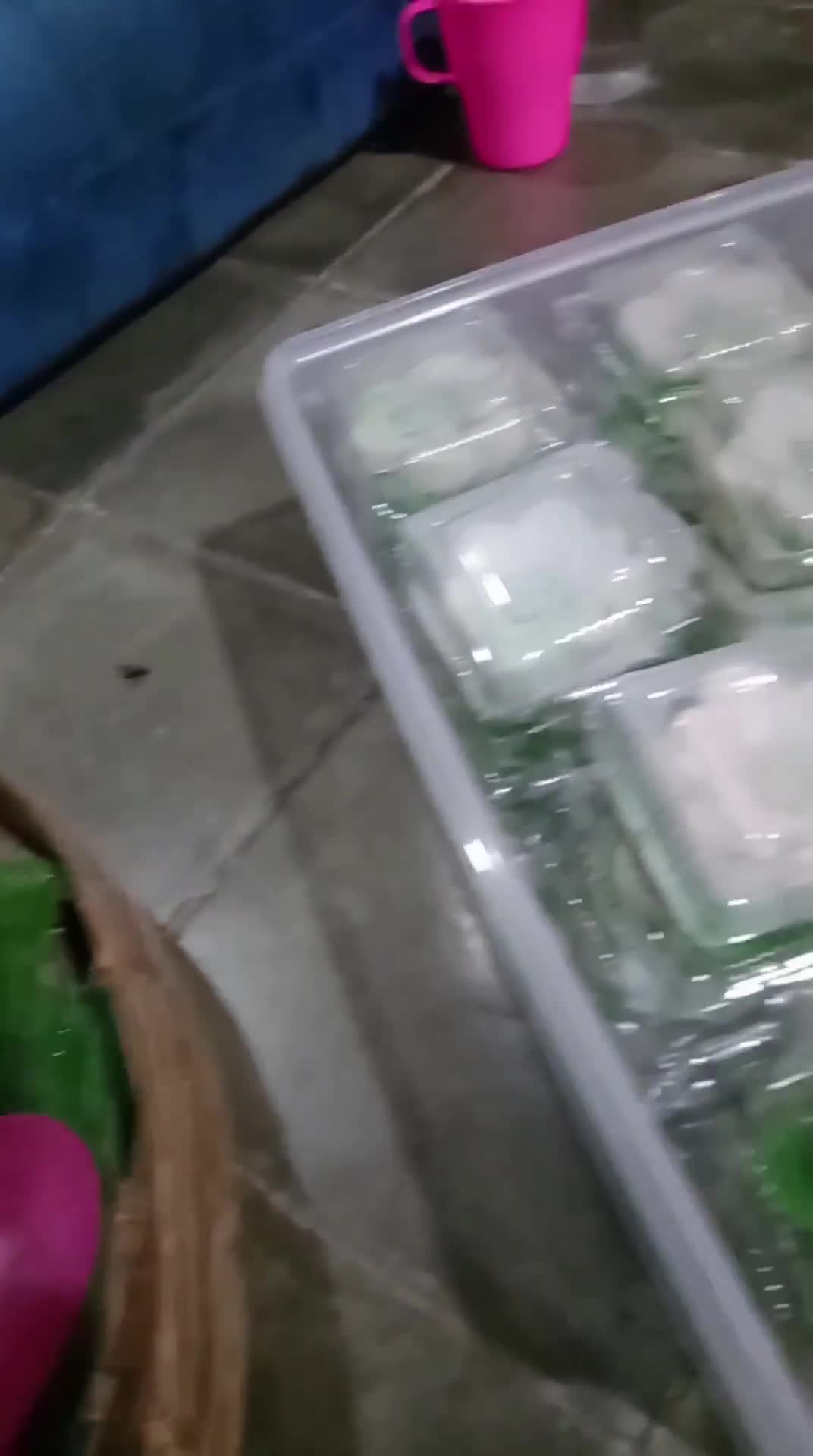 Foto langkah ke 5 dari resep Kue Lapis Bunga.