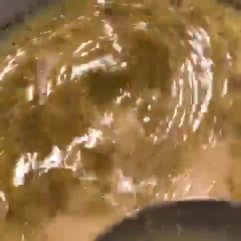 Foto langkah ke 1 dari resep Fermentasi Tahu.