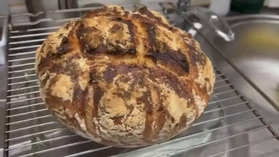 Foto del paso 12 de la receta: Pan casero de masa madre, estilo rústico (manitoba y centeno)