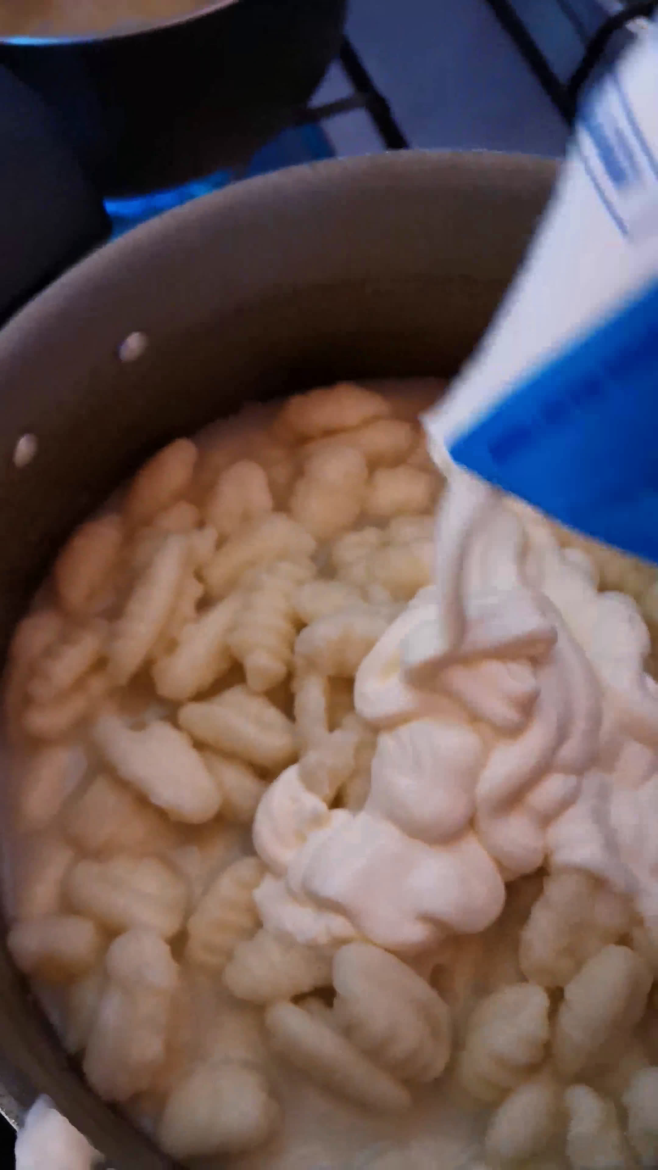 Foto del paso 8 de la receta: Ñoquis con salsa de pollo