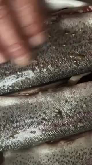 Foto del paso 7 de la receta: Trucha a la Navarra, al horno!