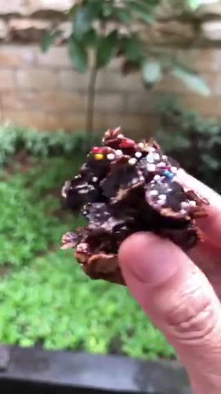 Foto langkah ke 6 dari resep Cornflakes CHOCO Balls ✨👌🏻.