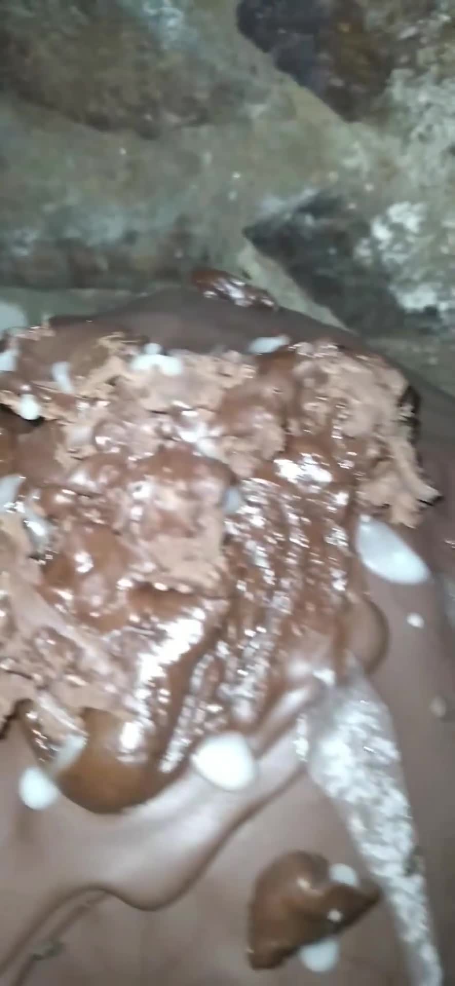 Foto del paso 6 de la receta: Pan dulce!!🎅🎅