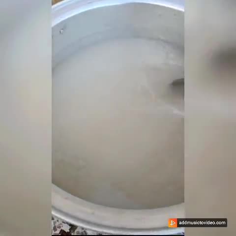 عکس مرحله 3 از دستور شله زرد نذری