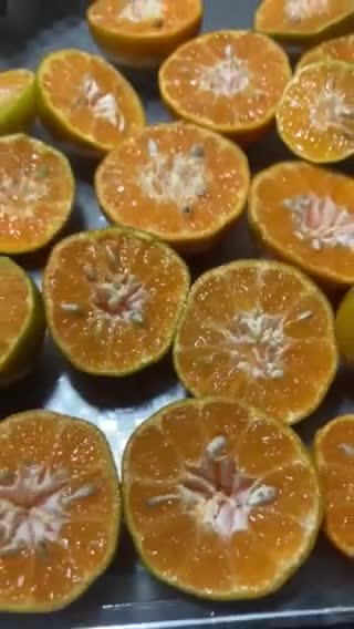 Foto del paso 1 de la receta: Jugo 🥤 de Mandarina de mi patio más fresco y natural imposible