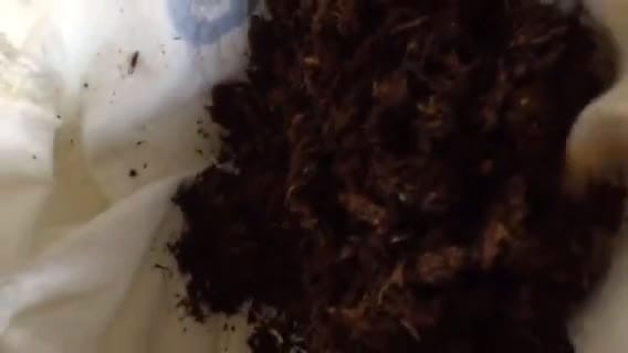 صورة لخطوة 5 من وصفة شراب العرق سوس