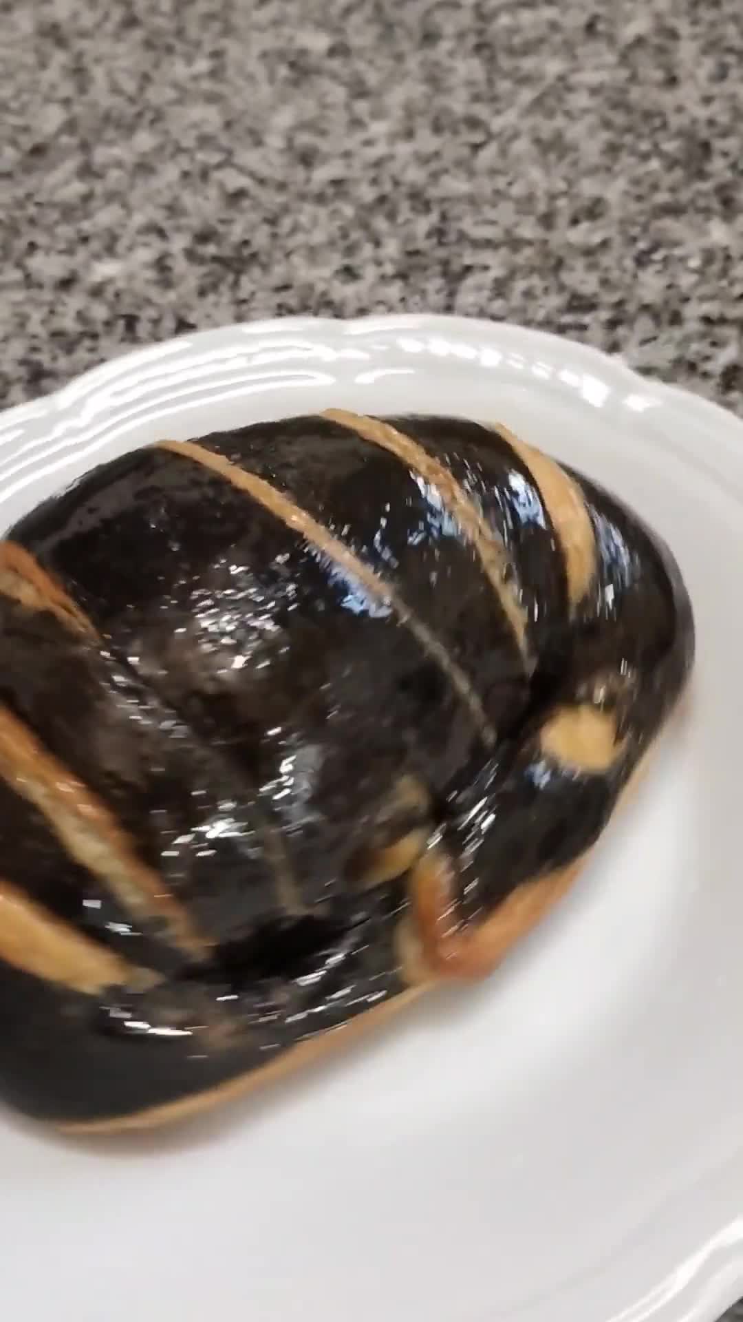 Foto del paso 6 de la receta: Croissants bicolor