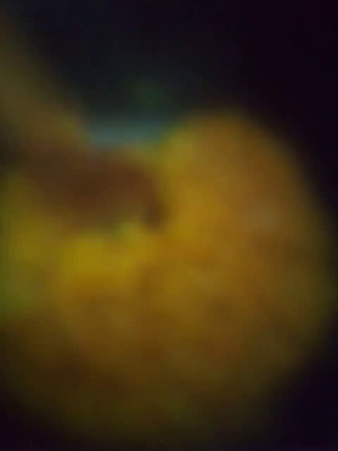 Foto del paso 6 de la receta: Mermelada de naranja 🍊 casera