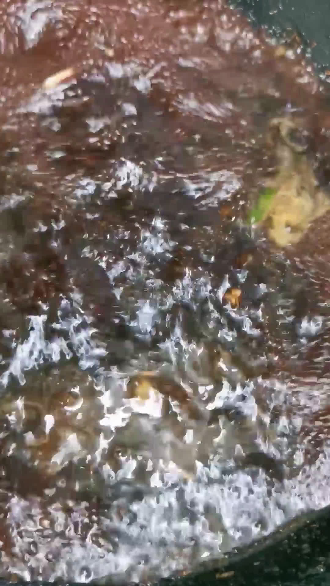 Gambar langkah 3 resipi Ayam Kicap.