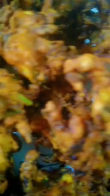 गोभी के पकौड़े रेसिपी चरण 6 फोटो