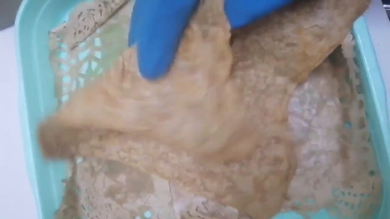 صورة لخطوة 7 من وصفة شباتي البر بزيت الزيتون خفيف لذيذ رقيق وصحي