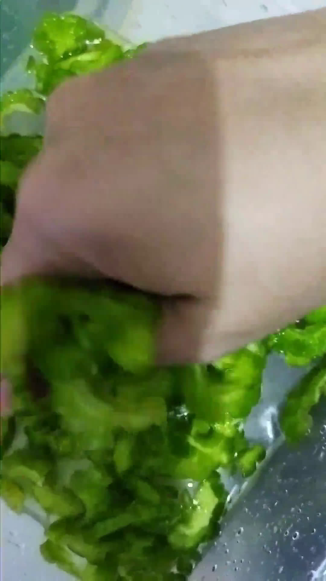 Foto langkah ke 1 dari resep Pare nenek ala Ashanty.
