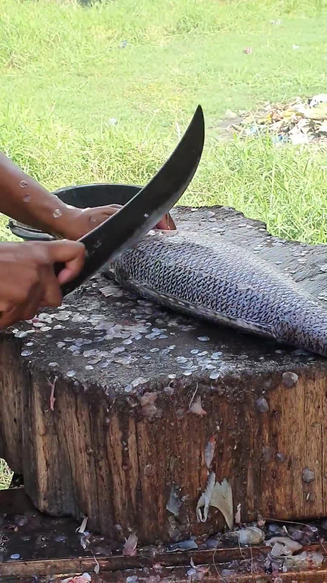 Foto langkah ke 1 dari resep Tumis Kepala Ikan.