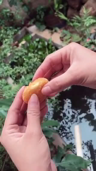 Foto langkah ke 7 dari resep Bolpis keju lumer.