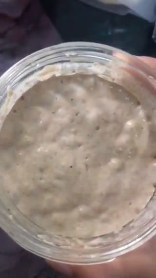 Foto langkah ke 8 dari resep Ragi alami (starter untuk sourdough bread).