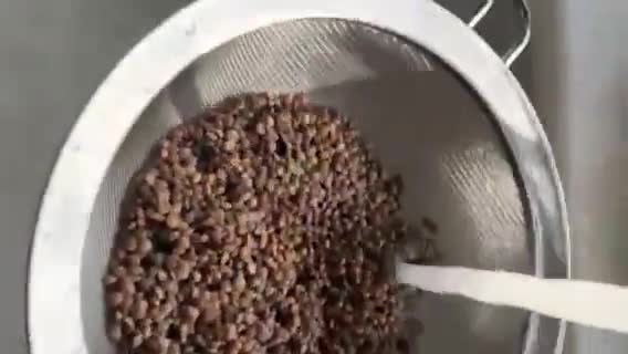 Foto del paso 5 de la receta: Lentejas Sabor Cookpad, con chorizo y costillas, en olla a presión