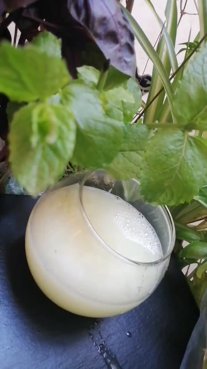 Une image de l'étape 6 de Citronade bio facon tunisienne 🍋.