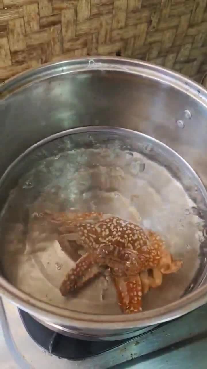 Foto langkah ke 1 dari resep Kare Rajungan Satset (bumbu instan).