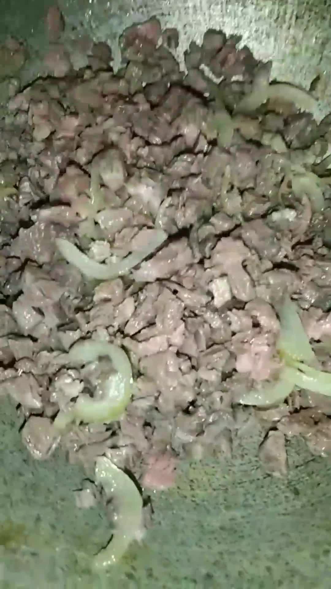 Foto langkah ke 2 dari resep Risol Daging.