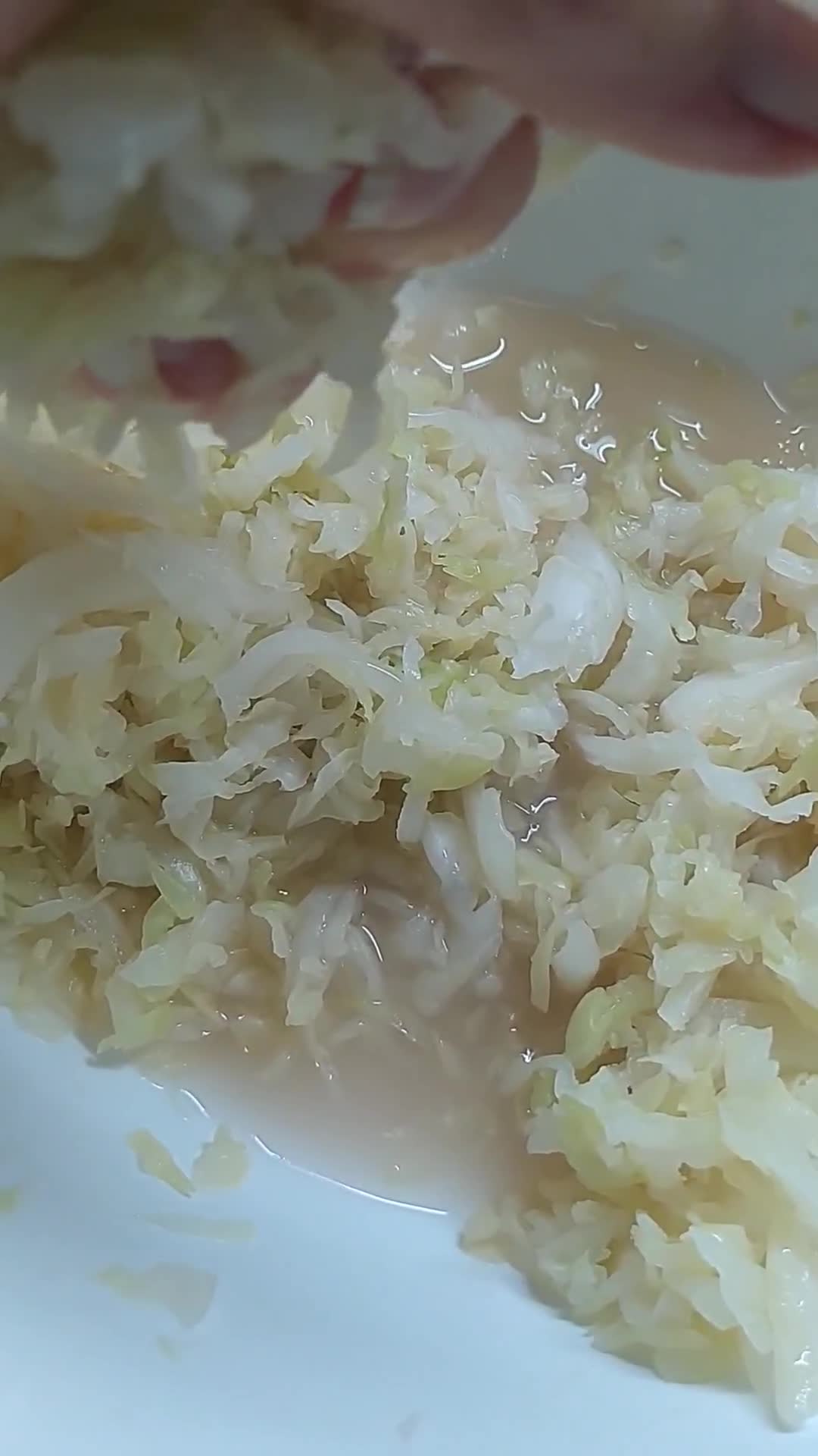 Foto del paso 2 de la receta: Chucrut alemán / Repollo Fermentado