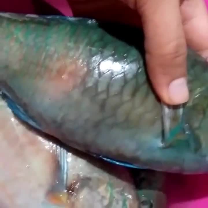 صورة لخطوة 1 من وصفة سمك حريد مشوي في الفرن 😋🐟