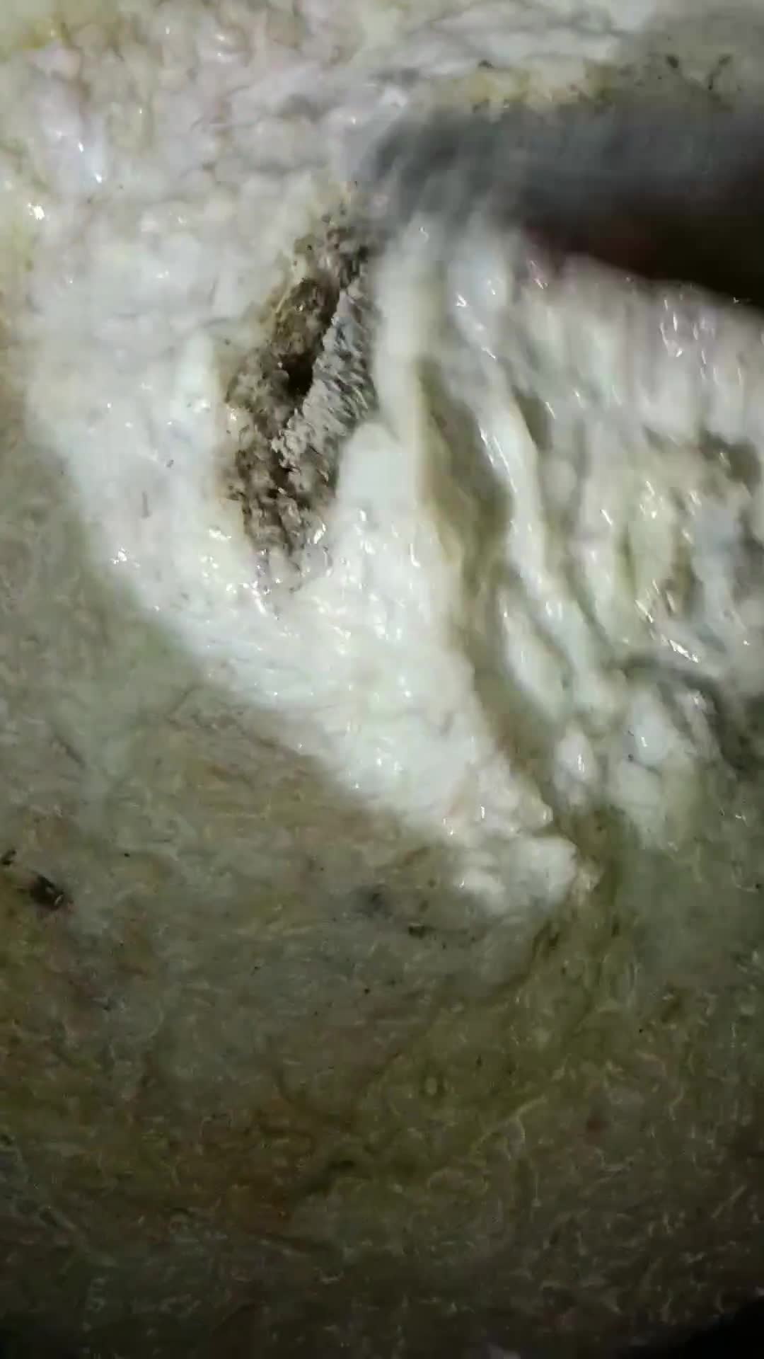 फेनी हलवा रेसिपी चरण 4 फोटो