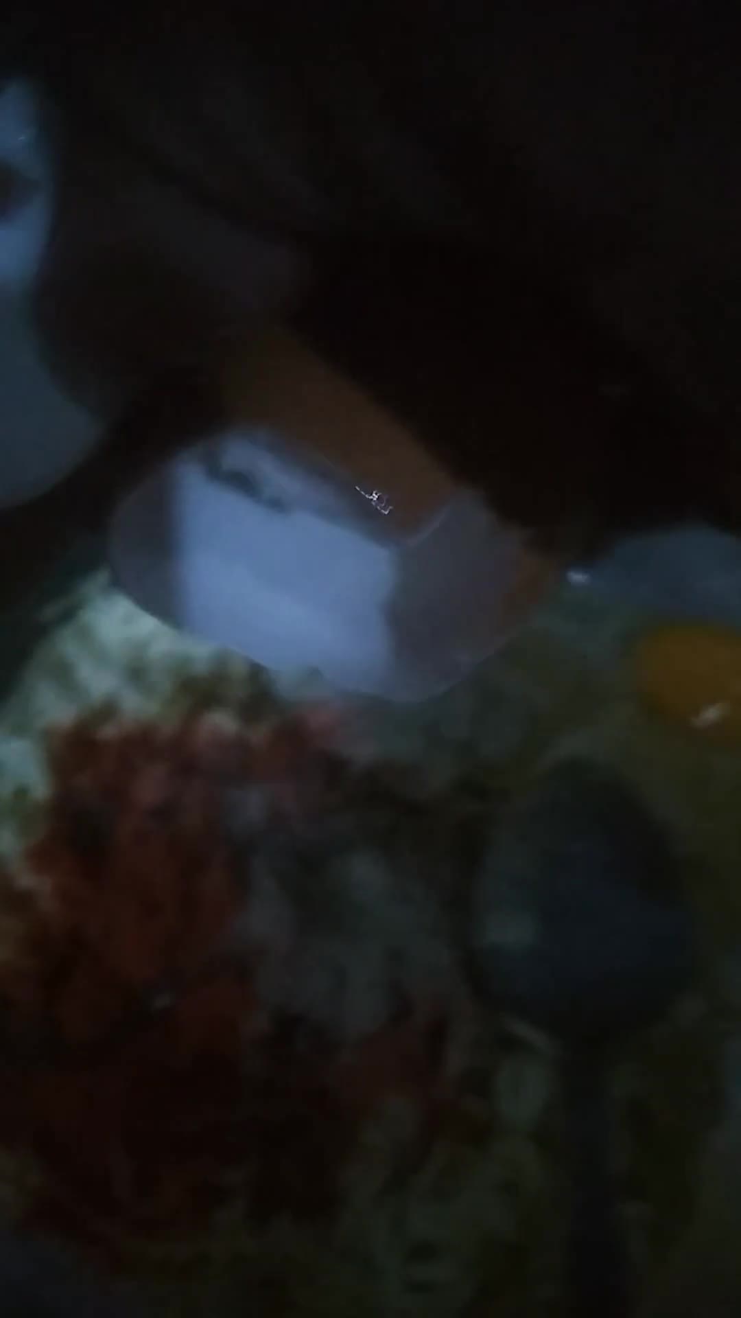 Foto langkah ke 7 dari resep Nasbent BAT Lumpia Mie Telur Sosis JALETOT (kulit tahu).