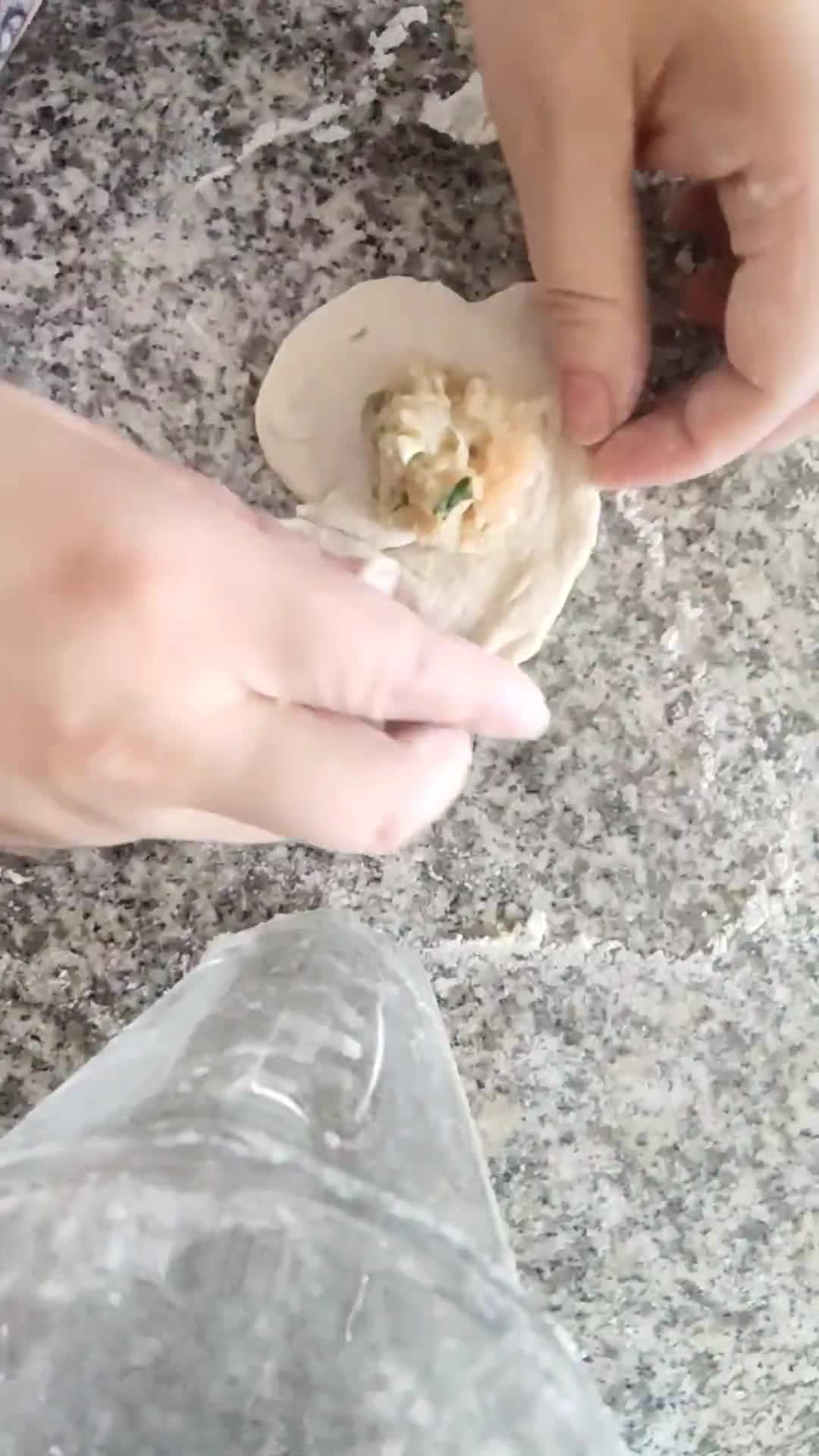 Foto del paso 3 de la receta: Dumpling de pollo