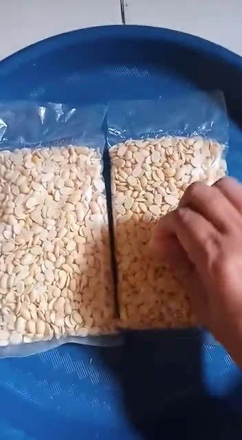 Foto langkah ke 16 dari resep Tempe Homemade (Kacang Kedelai).