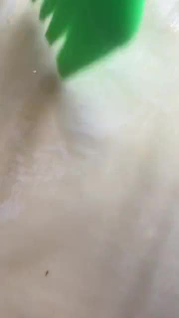 Foto del paso 11 de la receta: Spanakopita de temporada
