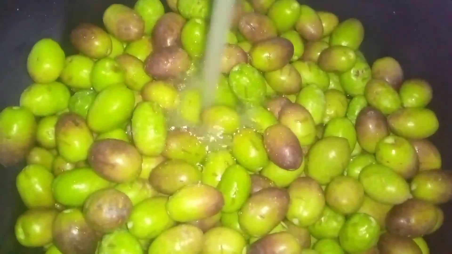 صورة لخطوة 2 من وصفة ترقيد الزيتون (مخلل)