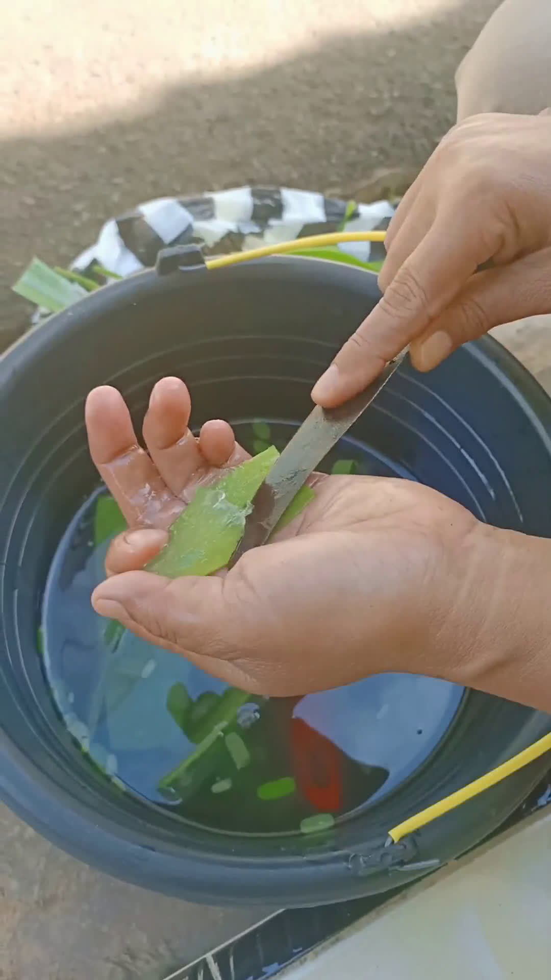 Foto langkah ke 2 dari resep Lidah Buaya segar.