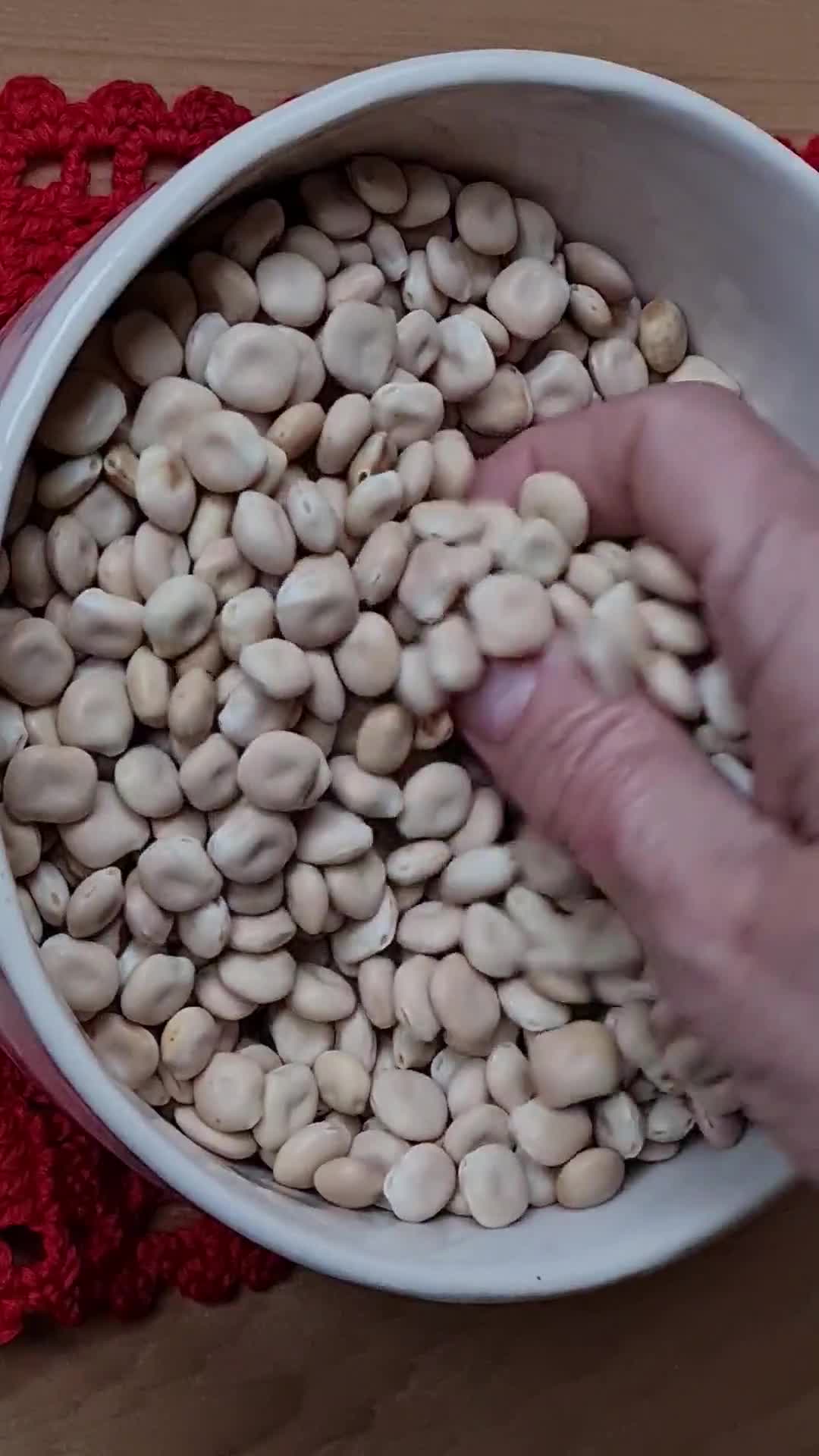Foto del paso 1 de la receta: Lupines 🌱 Altramuces 🌱 Chochos 🌱 Tremosos 🌱 Tremoços 🌱 Frijoles de altramuz 🌱 Entremozos 🌱