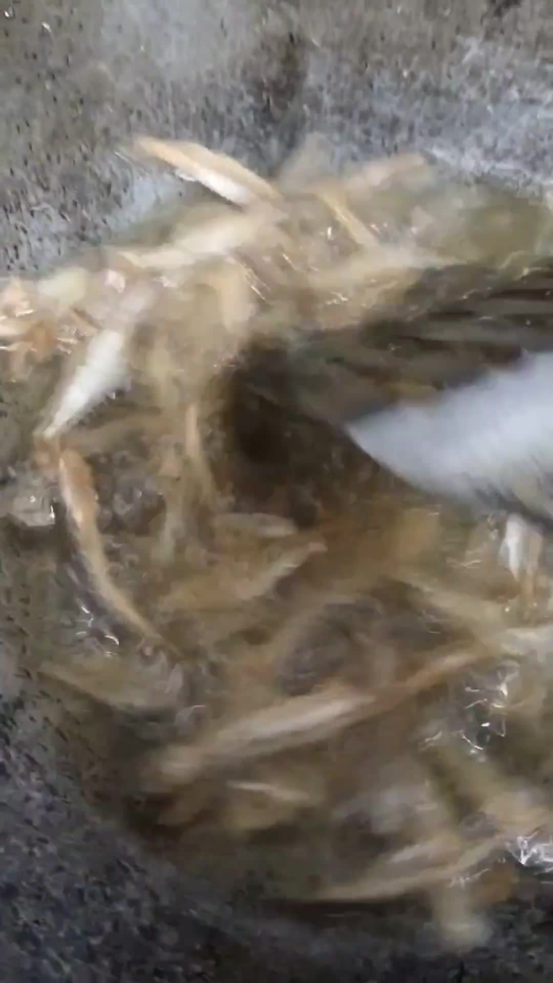 Gambar langkah 1 resipi Tempe goreng campur.