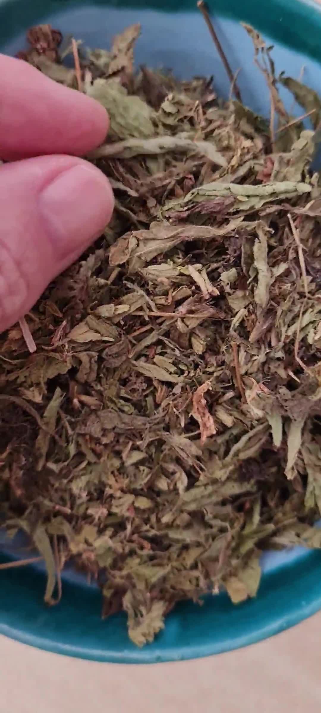 Foto del paso 1 de la receta: Stevia en polvo 🌱 endulzante acalórico desde hojas secas 🌱 un hack para tu bolsillo y salud
