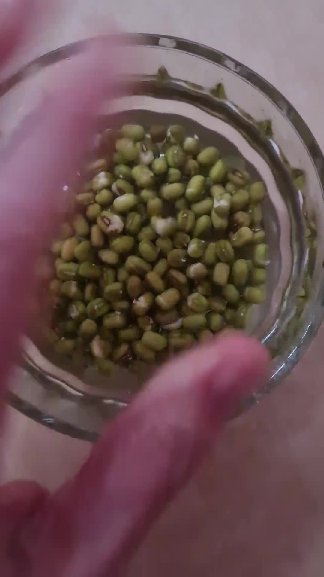 Foto del paso 1 de la receta: Brotes de mungo (mal llamados brotes de soja) 🌱 🫘