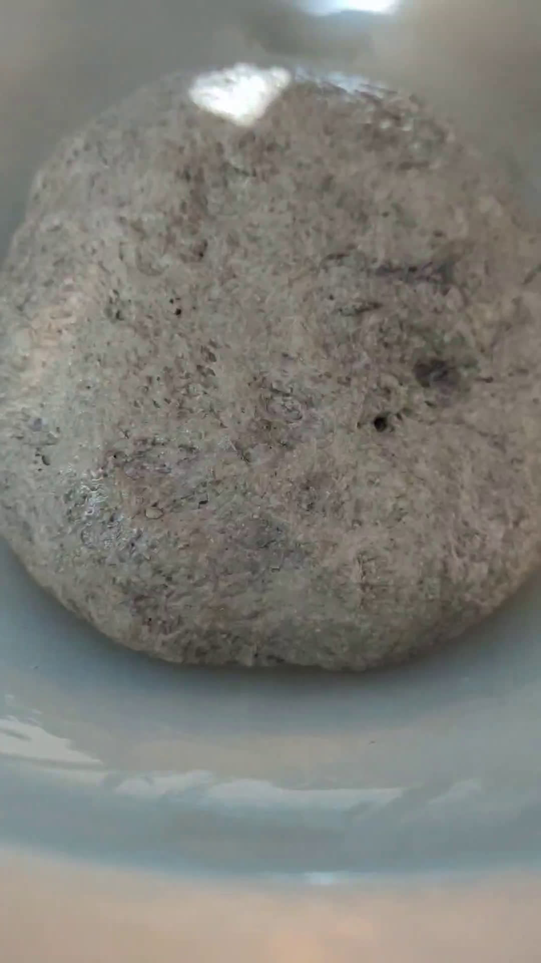 Foto del passaggio 1 della ricetta Focaccia al nero di seppia gourmet
