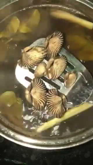 Foto langkah ke 4 dari resep Kerang rebus makyuss.