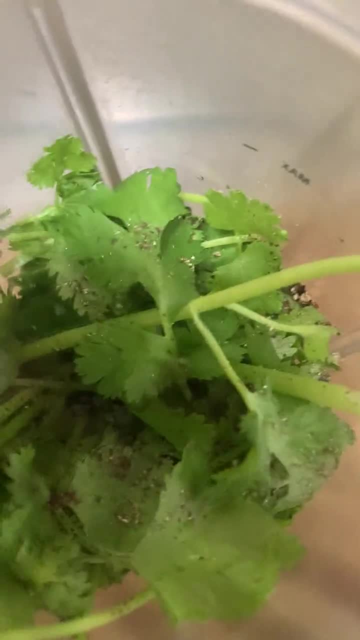 Foto del paso 2 de la receta: *Aguachile de Camarones con Chile Habanero Encima*
