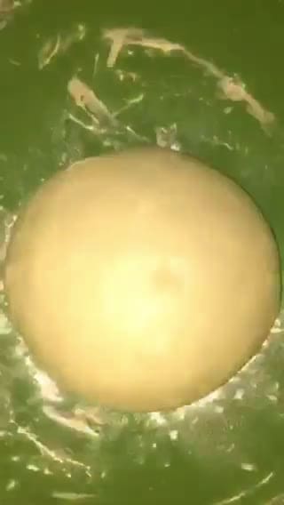 Foto langkah ke 4 dari resep Pizza Teflon Mudah.