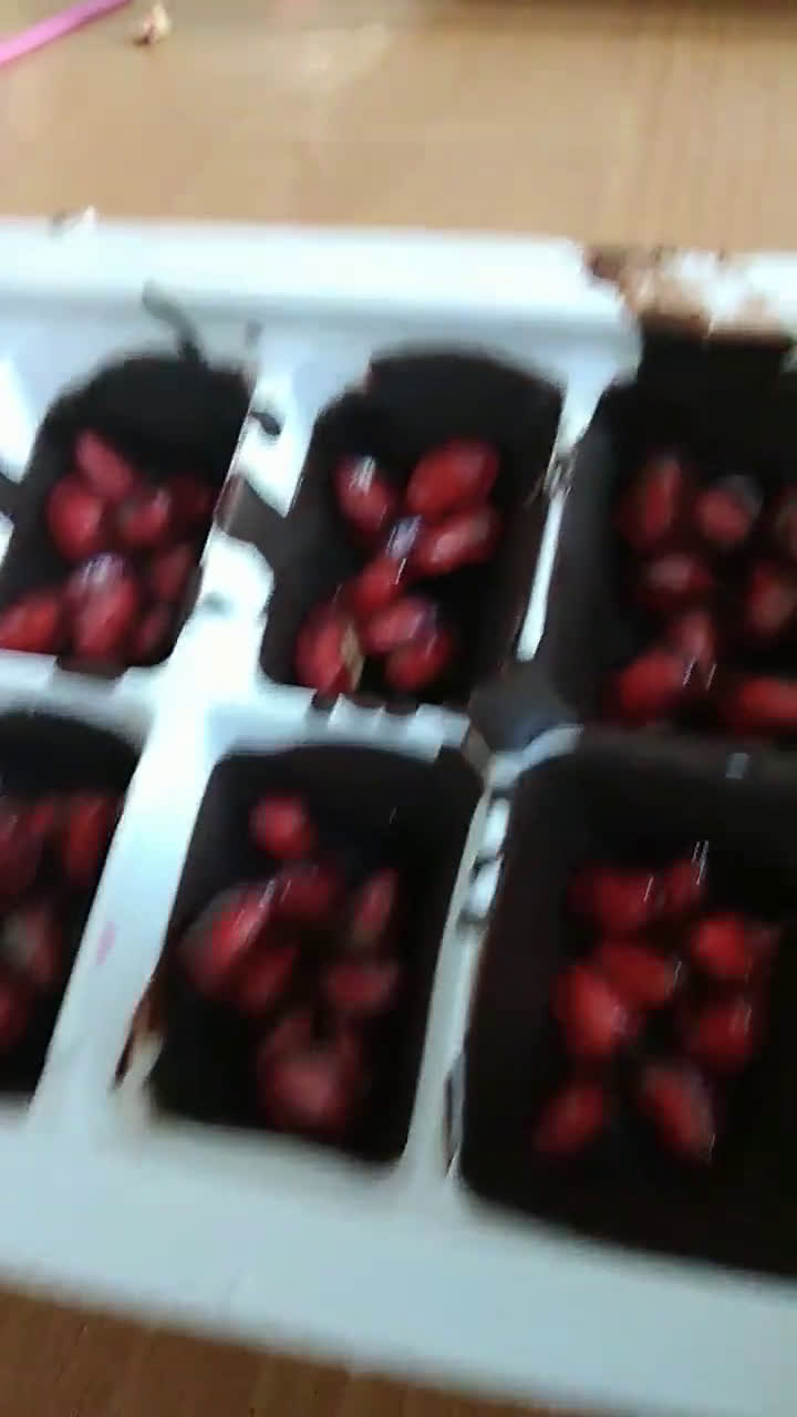 عکس مرحله 4 از دستور شکلات مغزدار مخصوص شب های زمستون☃️