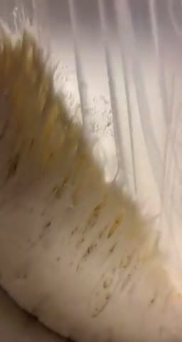 صورة لخطوة 1 من وصفة فطاير بالجبنة