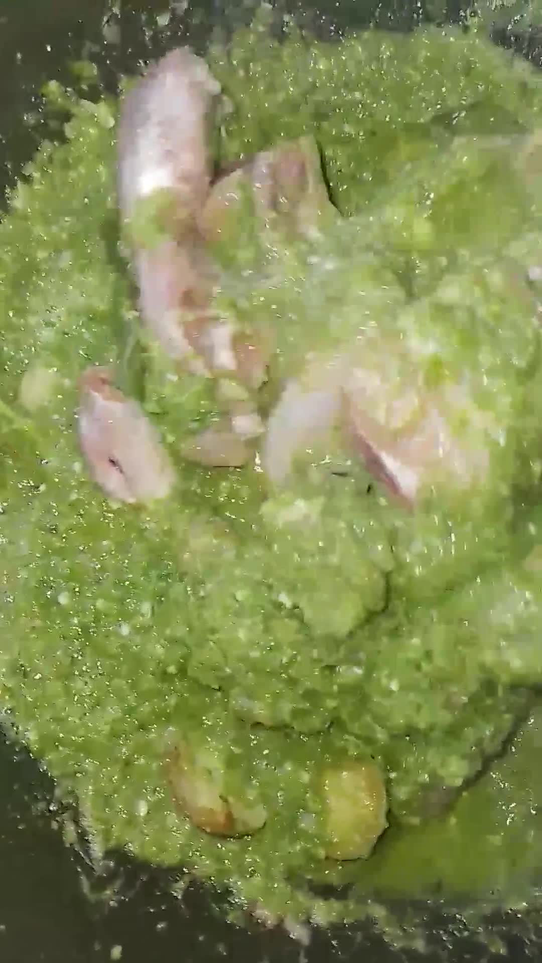 Foto langkah ke 4 dari resep Ayam lado mudo.