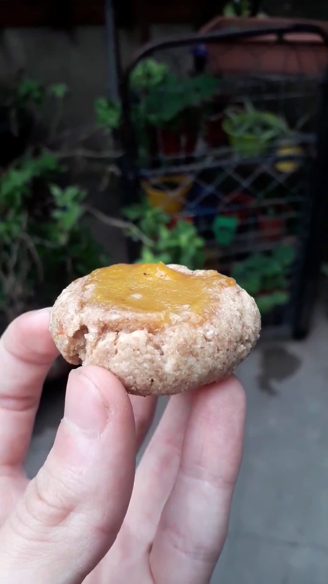 Foto del paso 4 de la receta: Pepas de harina integral, naranja y vainilla 😁